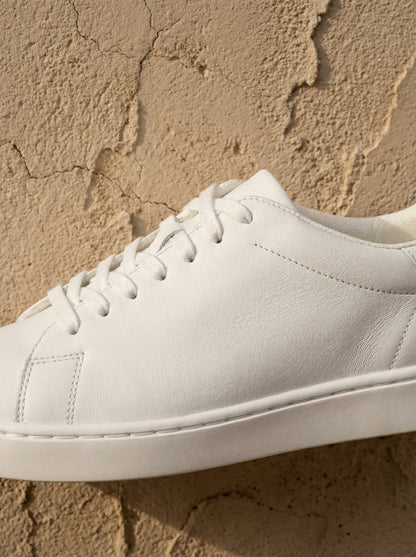 Men's Classic Solid Colour Elegant Sneakers